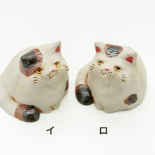 画像をギャラリービューアに読み込む, ぽっちゃりにゃんこ