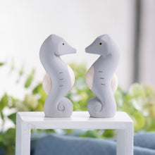 画像をギャラリービューアに読み込む, 夏限定ぽれぽれ動物 / タツノオトシゴ