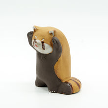 画像をギャラリービューアに読み込む, レッサーパンダ