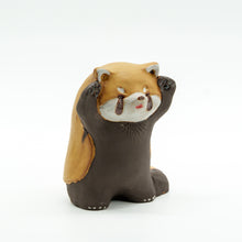 画像をギャラリービューアに読み込む, レッサーパンダ