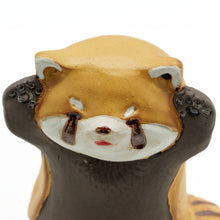 画像をギャラリービューアに読み込む, レッサーパンダ