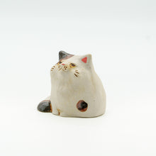 画像をギャラリービューアに読み込む, ぽっちゃりにゃんこ