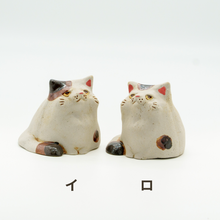 画像をギャラリービューアに読み込む, ぽっちゃりにゃんこ
