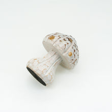 画像をギャラリービューアに読み込む, 木製きのこ
