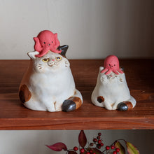 画像をギャラリービューアに読み込む, こたこねこ
