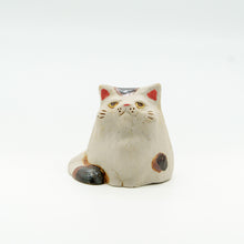 画像をギャラリービューアに読み込む, ぽっちゃりにゃんこ
