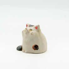 画像をギャラリービューアに読み込む, ぽっちゃりにゃんこ
